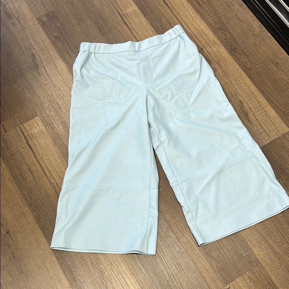 faux leather Light Blue Pants cropped